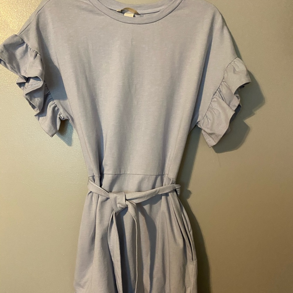 Ruffle sleeve tie waist dress